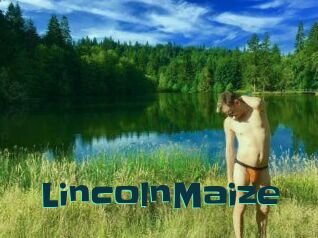 Lincoln_Maize