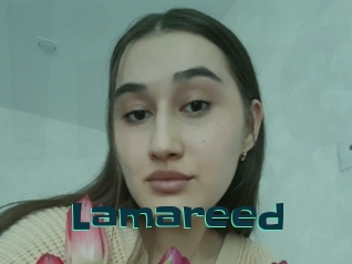 Lamareed