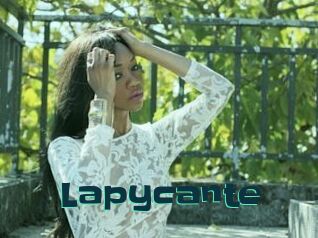 Lapycante