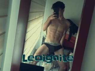 Leoignite