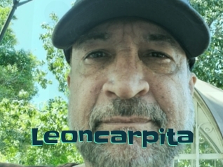 Leoncarpita