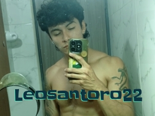 Leosantoro22