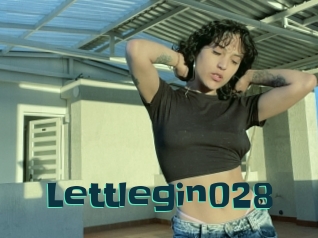 Lettlegin028