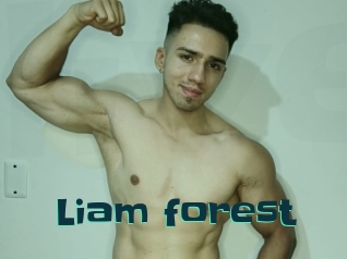 Liam_forest