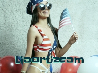Liaortizcam