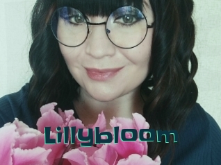 Lillybloom
