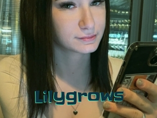 Lilygrows