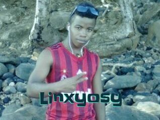 Linxyosy
