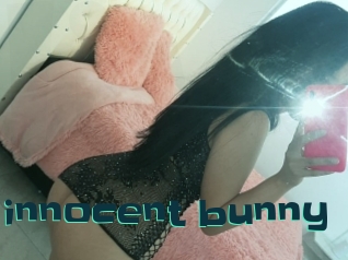 Little_innocent_bunny