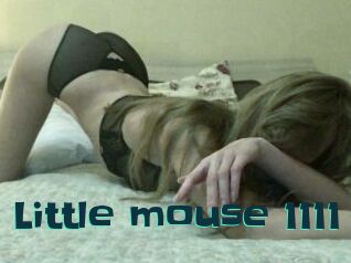 Little_mouse_1111