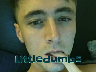 Littledumbs