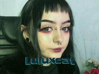 Luluxcat