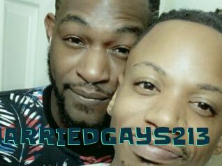 MARRIEDGAYS213