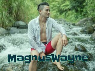 MagnusWayne