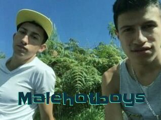 Malehotboys