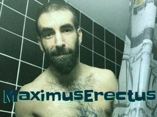MaximusErectus