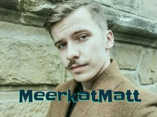 MeerkatMatt