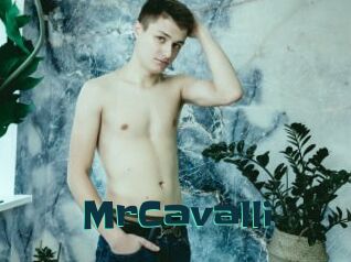 MrCavalli