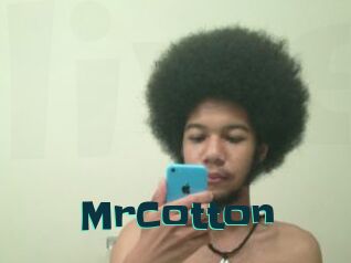 MrCotton