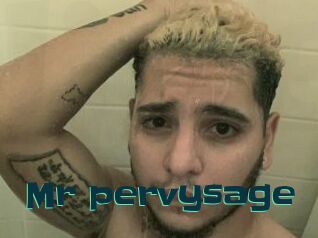 Mr_pervysage