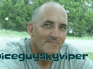 Mrniceguyskyviper