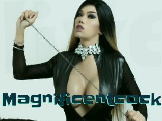 Magnificentcock