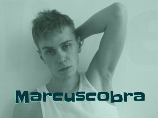 Marcuscobra