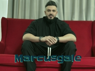 Marcusgale