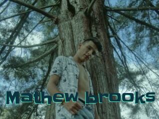 Mathew_brooks