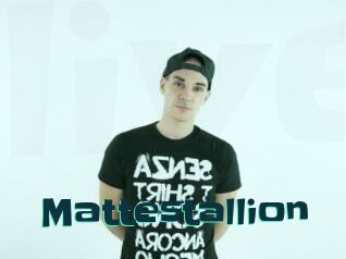 Mattestallion