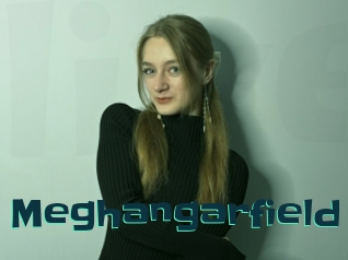 Meghangarfield