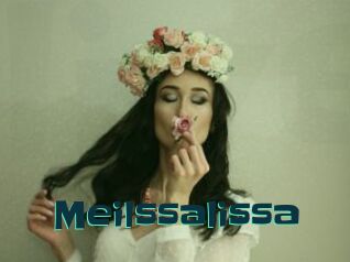 Meilssalissa