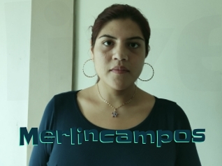 Merlincampos