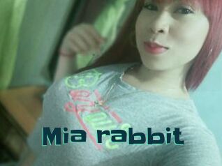 Mia_rabbit