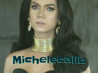 Michelecalib