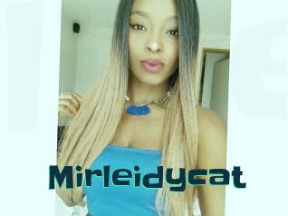 Mirleidycat