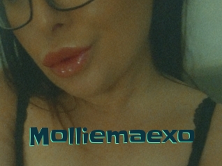 Molliemaexo