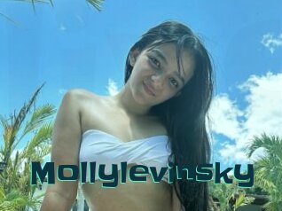Mollylevinsky