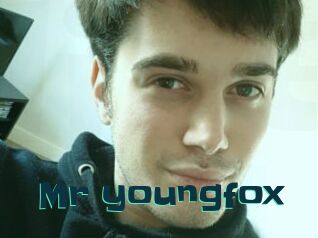 Mr_youngfox