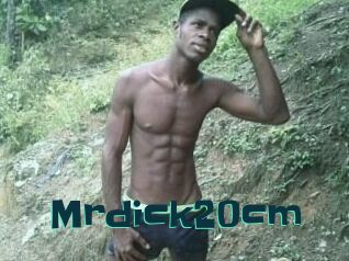 Mrdick20cm
