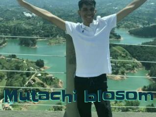 Mutachi_blosom