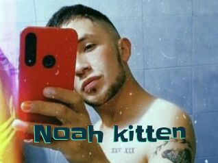 Noah_kitten