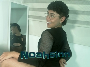 Noahsinn