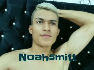 Noahsmitt