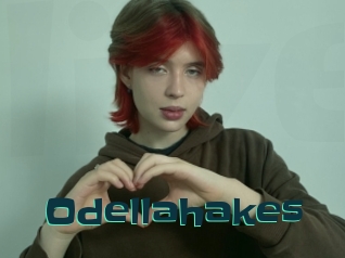 Odellahakes