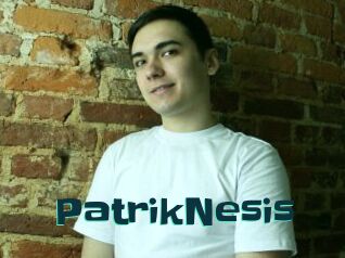 PatrikNesis
