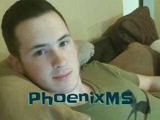 PhoenixMS