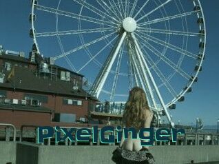 PixelGinger