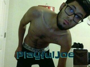 PlayfulJoe