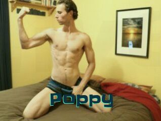 Poppy_